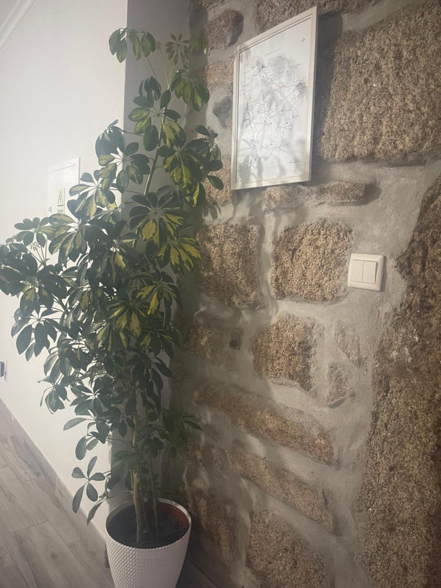 Villa Casa da Burra Alijó Esterno foto
